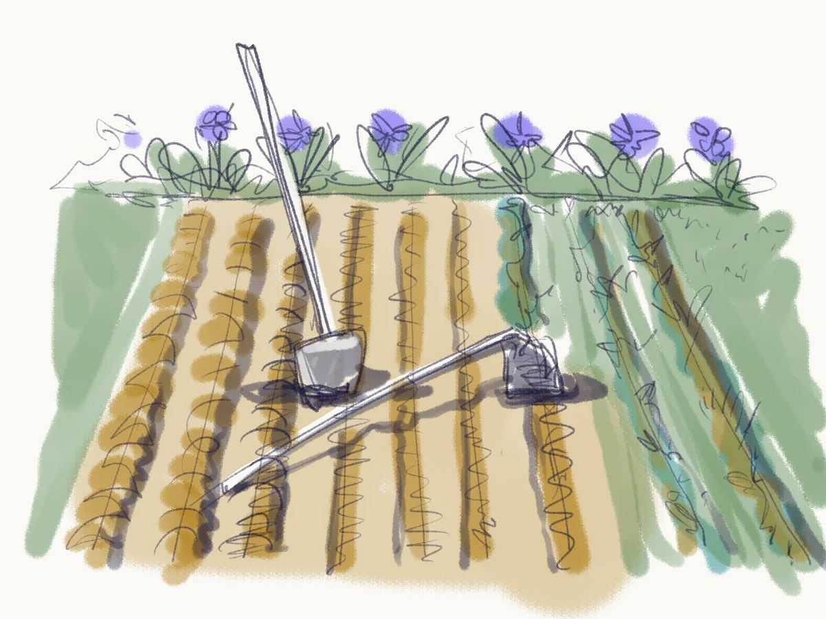 Sketch of freshly plowed garden rows with a hoe and shovel, beside a border of periwinkle.