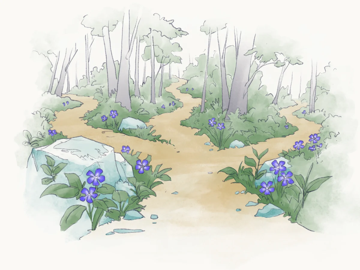Watercolor of a forest trail that forks into several paths, with periwinkle blooming beside pale teal rocks.