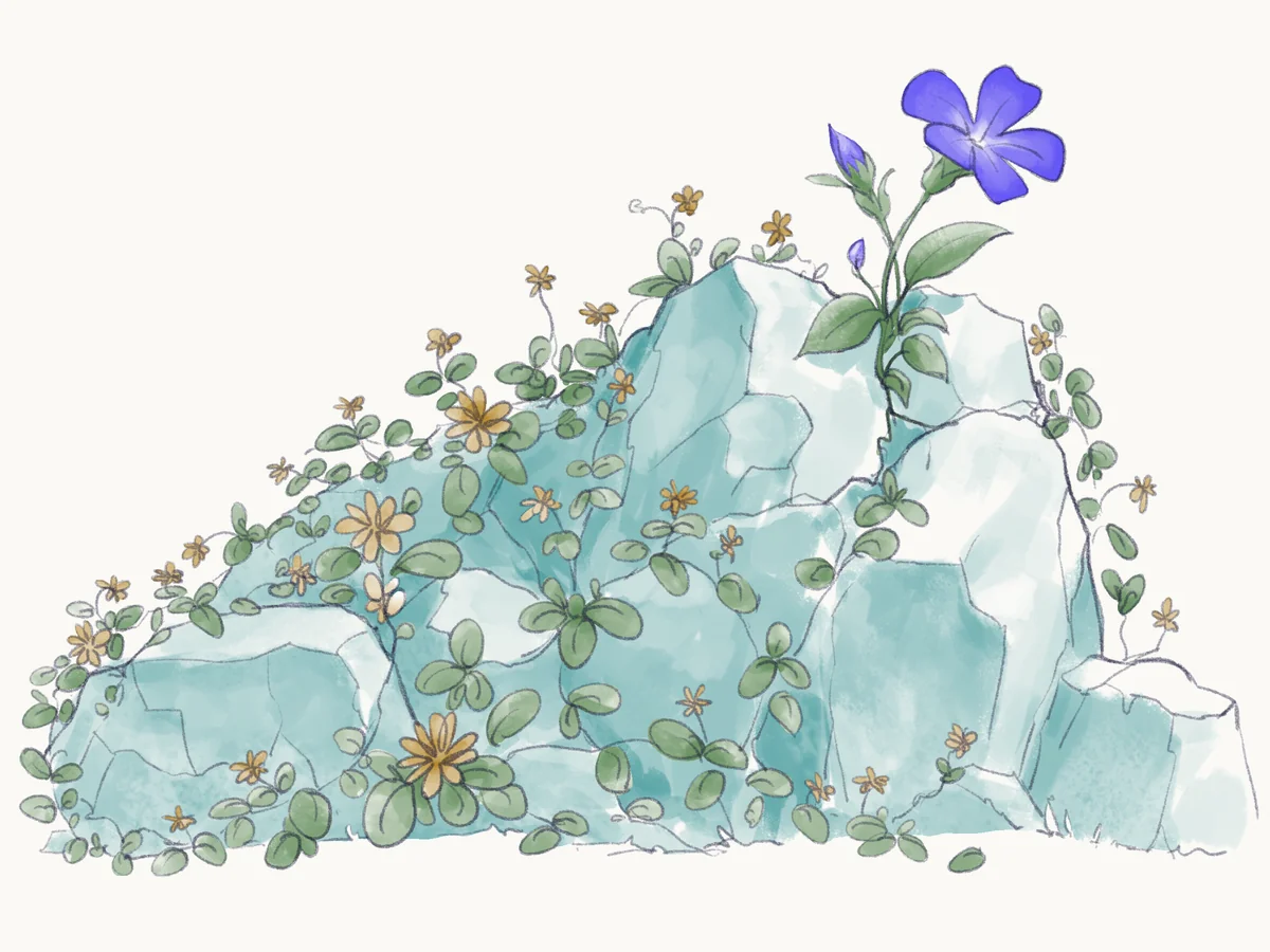 Sketch of a single periwinkle blooming from a crack at the top of a pile of teal rocks covered in small yellow-flowered vines.