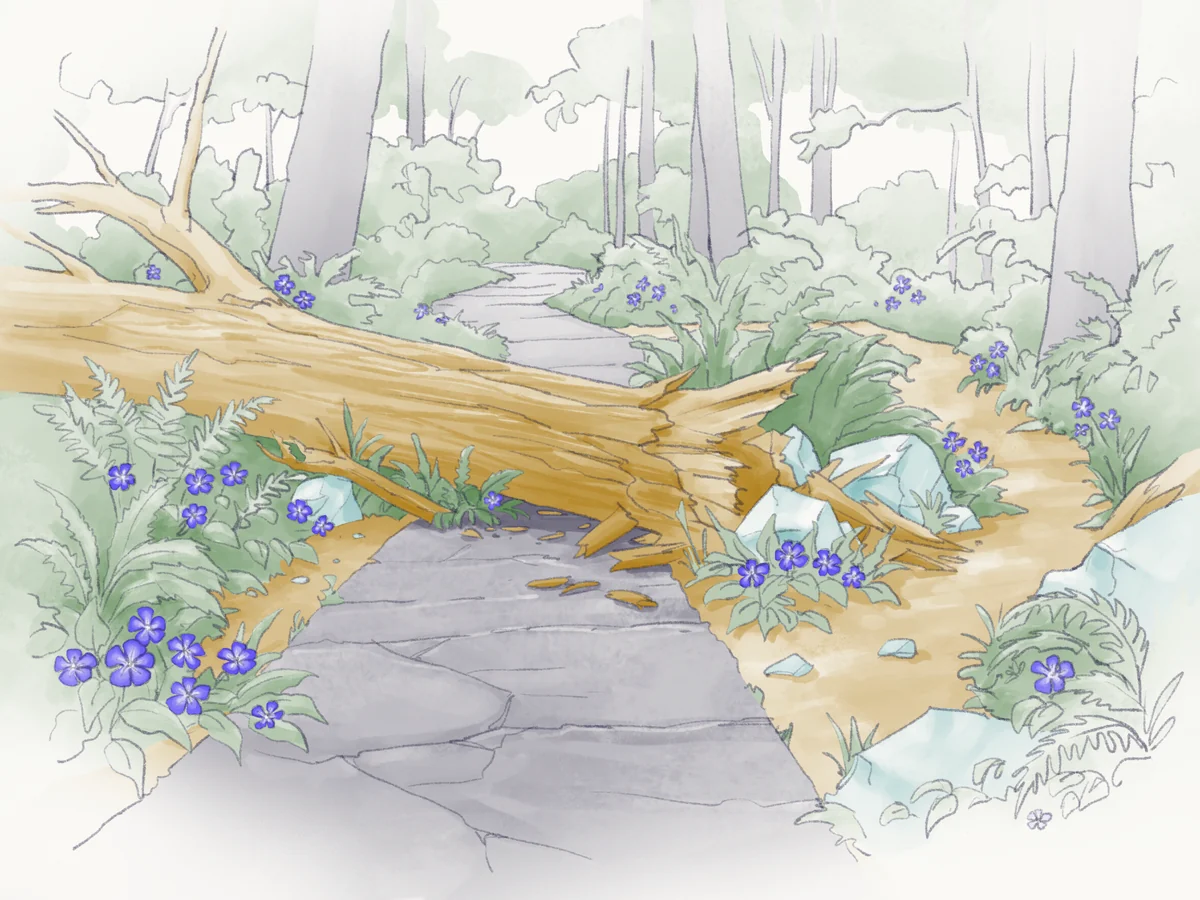 Watercolor of a fallen tree blocking a stone forest path, with a dirt trail curving around it through ferns and periwinkle.